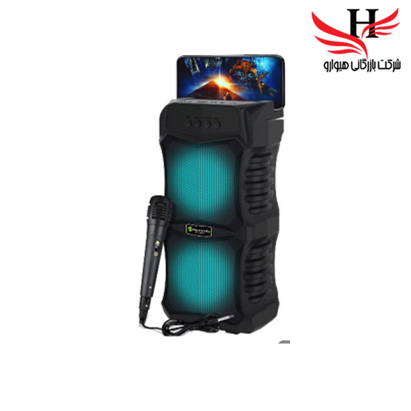 تصویر اسپيکر چمداني نيورکسين NEWRIXING 5501A